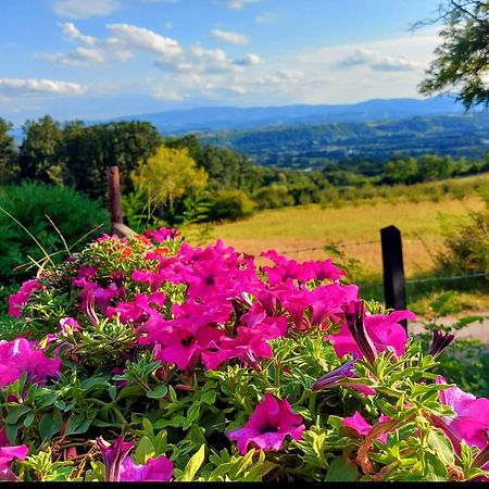 Kuca Za Uzivanje Valjevo Bagian luar foto