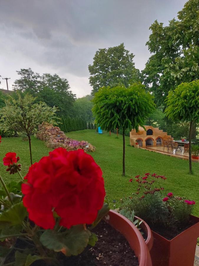 Kuca Za Uzivanje Valjevo Bagian luar foto